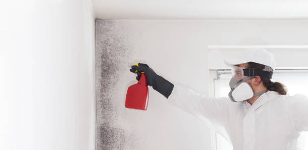 Best Bathroom Mold Remediation in Bling, AR