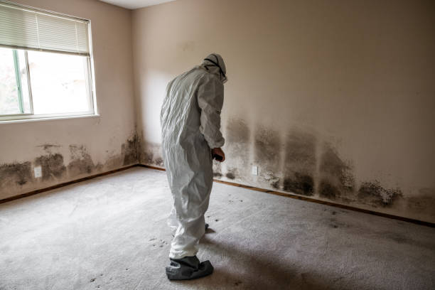 Best Bathroom Mold Remediation in Bling, AR